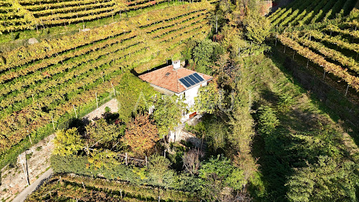 House surrounded by vineyards - Prestige property for sale in Bolzano, 8 rooms, 3 bedrooms