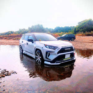 RAV4 MXAA54