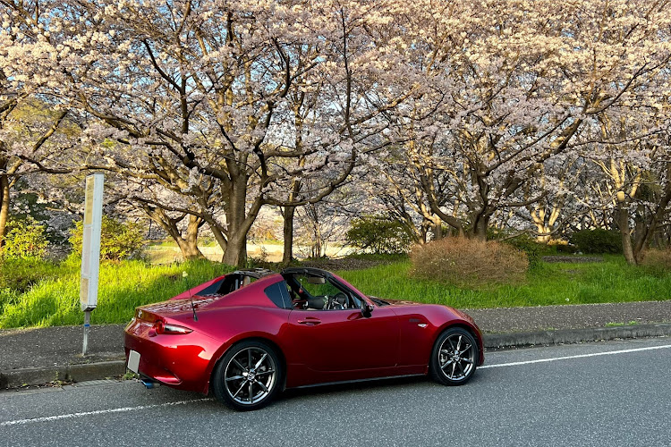 ロードスターRFのいつもいいね＆コメントありがとうございます🥰・はだの桜みち・桜とコラボ🌸・富士山に関するカスタム事例の投稿画像2枚目
