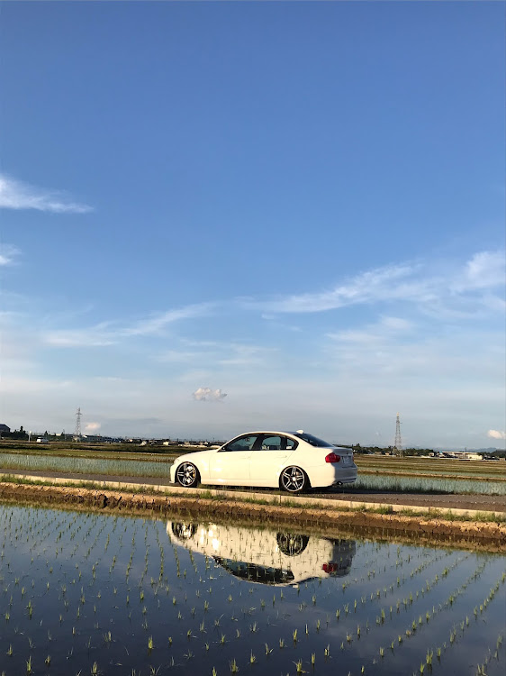 320iのカメ活📷・お写ん歩・オイル交換・お掃除・調子いいです🎵に関するカスタム事例の投稿画像1枚目