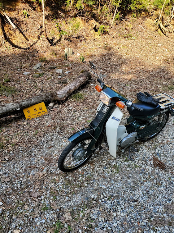 GTOの納車・ヤマハ・メイト・峠・ツーリングに関するカスタム事例の投稿画像5枚目