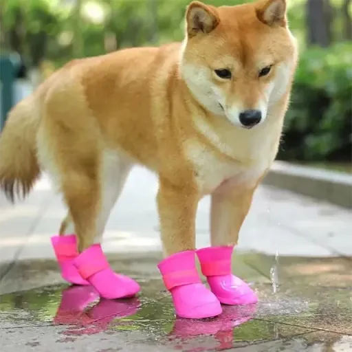 4Pcs Pet WaterProof Rainshoe Anti-slip Rubber Boot For Small Medium Large Dogs Cats Outdoor Shoe Dog Ankle Boots Pet Acc