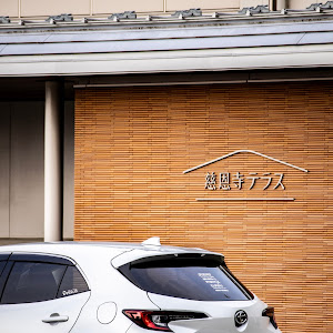 カローラスポーツ ZWE219H