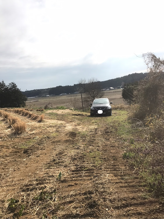 グランディスの荒野 山に関するカスタム事例の投稿画像2枚目