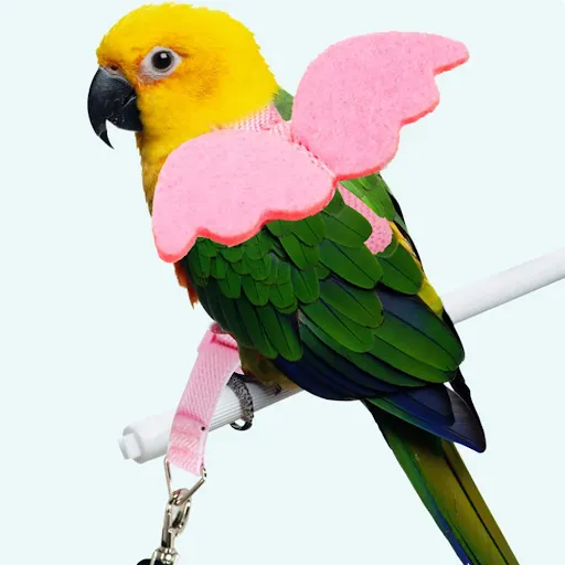 Long Cable Bird Harness Leash Anti-Bite Training Rope Decorative Lightweight Parakeet Parrot Vest Rope Small Bird Access
