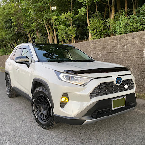 RAV4 AXAH54