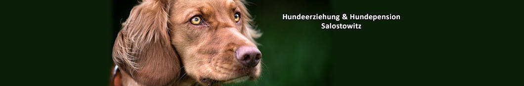 Stephanie Salostowitz - Online Hundetraining Banner