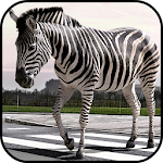 Zebra Wallpapers Apk