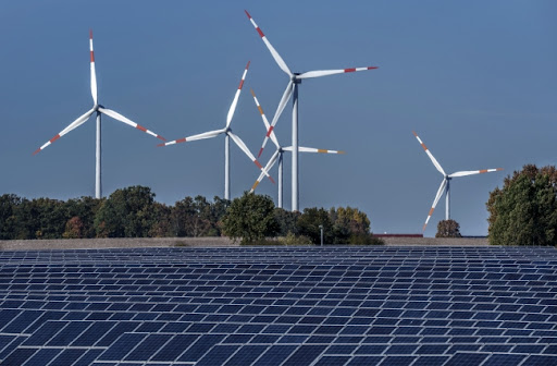 U Holandiji se postavlja najveća solarna elektrana iznad malinjaka u Evropi