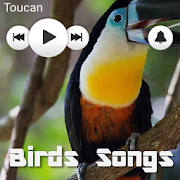 Bird Sounds Collection  Icon