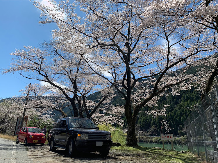 レンジローバーの桜とコラボ・桜と愛車に関するカスタム事例の投稿画像3枚目