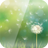 Dandelion Live Wallpaper mobile app icon