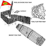 The Best Fish Trap Ideas 1.1.0 Icon