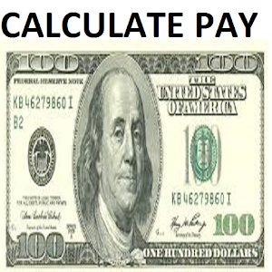 Accurate Pay Calculator - NoAd