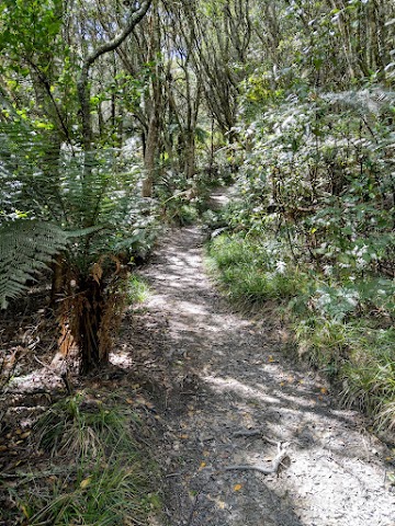 Rainbow Mountain Scenic Reserve Summit Track