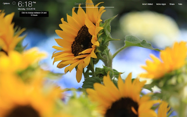 Sunflowers Wallpapers FullHD New Tab