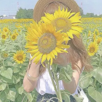 新しい物語のお知らせ!
