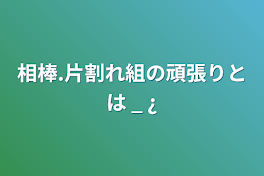 相棒.片割れ組の頑張りとは _ ¿