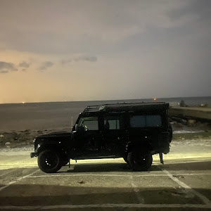 ディフェンダー LD25