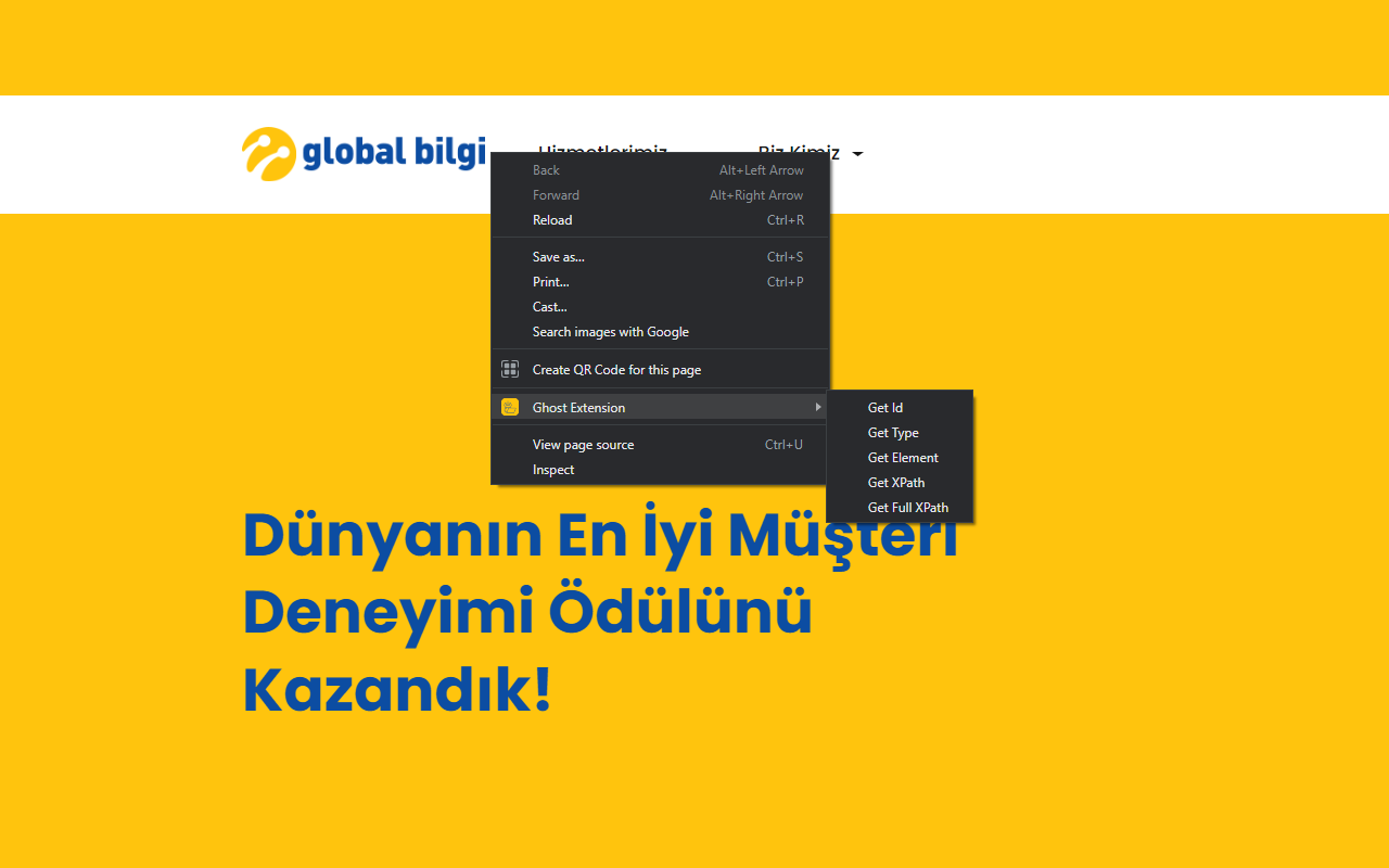 Global Bilgi RPA Web Automation Extension Preview image 2