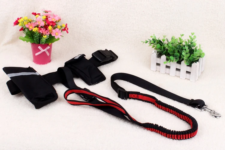 Title 13, Multifunktionale Hundeleine zum Joggen Nylon ge...