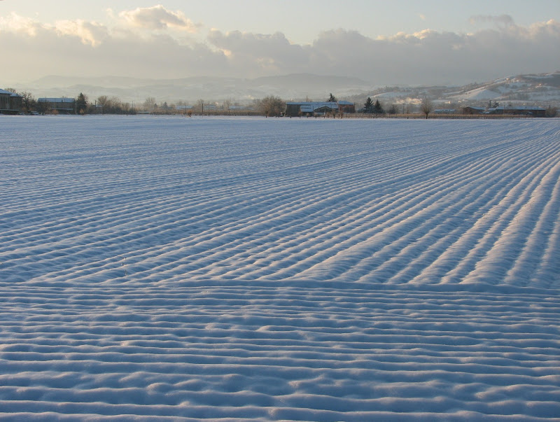 L'inverno in pianura di cristins