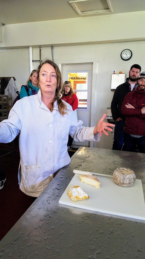 Artisan Cheese Festival tour 2018, a visit with owner Lisa Gottreich of Bohemian Creamery showing us and telling us the story behind the scenes of an artisan cheesemaker. We were able to taste several of the cheeses during the tour as we explored the difference between the natural rind categories, bloomy rind categories, and washed rind categories of cheese.