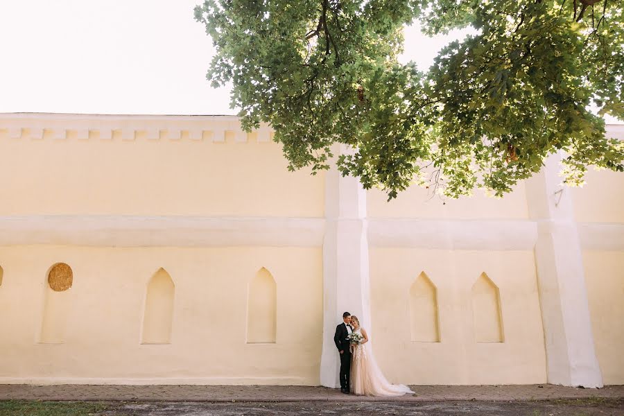 Wedding photographer Aleksandr Varukha (varuhovski). Photo of 20 January 2019