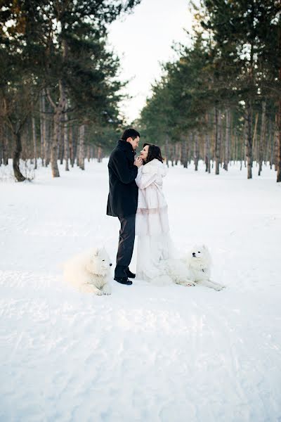 Hochzeitsfotograf Anna Kolodina (kolodina). Foto vom 14. Februar 2016