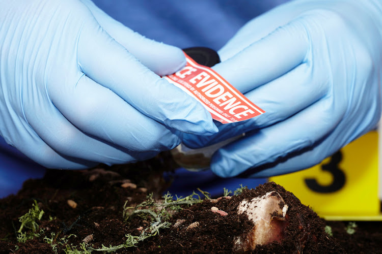 Pupils and staff received trauma support after the human skeleton was found under a mobile classroom. Stock photo.