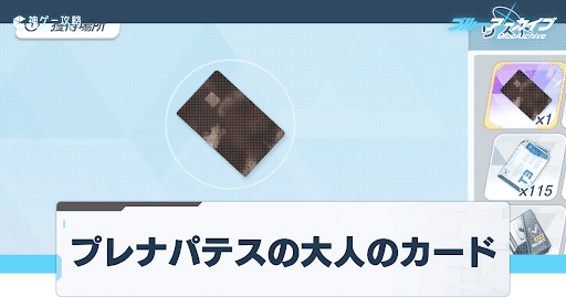 プレナパテスの大人のカードの使い道と入手方法