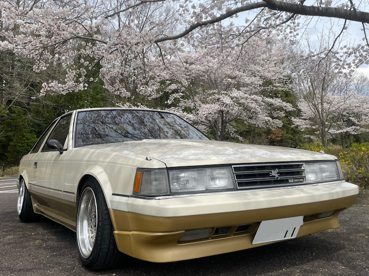 ソアラの愛車の一番好きな角度に関するカスタム事例の投稿画像1枚目