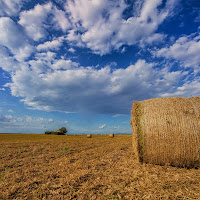 Tra terra e cielo di 