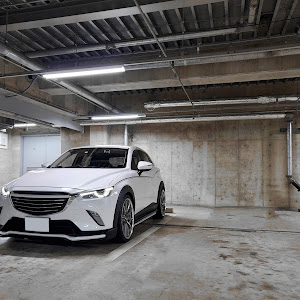 CX-3 DKEFW