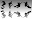 Skateboard Tricks Ideas Download on Windows