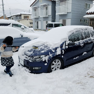 ポロ TSI 前期