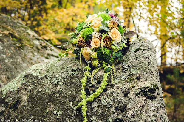 Photographe de mariage Lyudmila Tolina (milatolina). Photo du 23 septembre 2015