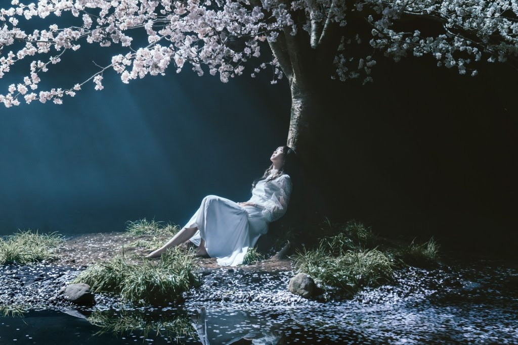 Aimer 最新單曲台灣數位上架