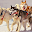 Siberian Husky Dogs Wallpapers Download on Windows