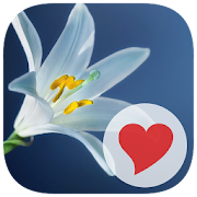 570 Pics 1.0.1 Icon