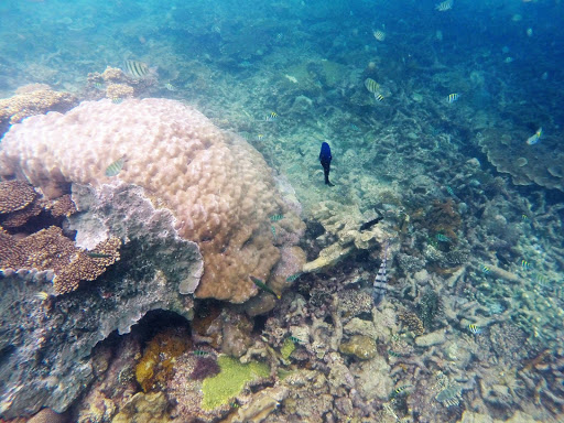 Bintan Underwater Indonesia 2016