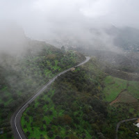 La nebbia agli irti colli di 