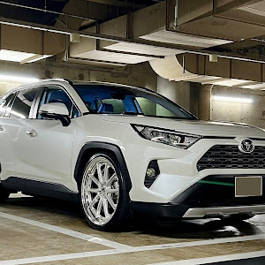 RAV4 MXAA54