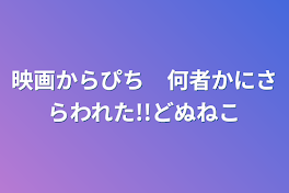 映画からぴち　何者かにさらわれた!!どぬねこ