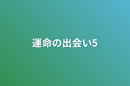 運命の出会い5