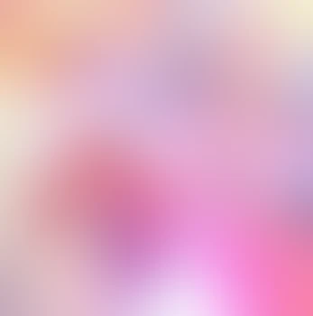 見なきゃそんしない、しらす(｡∀゜)(は？)