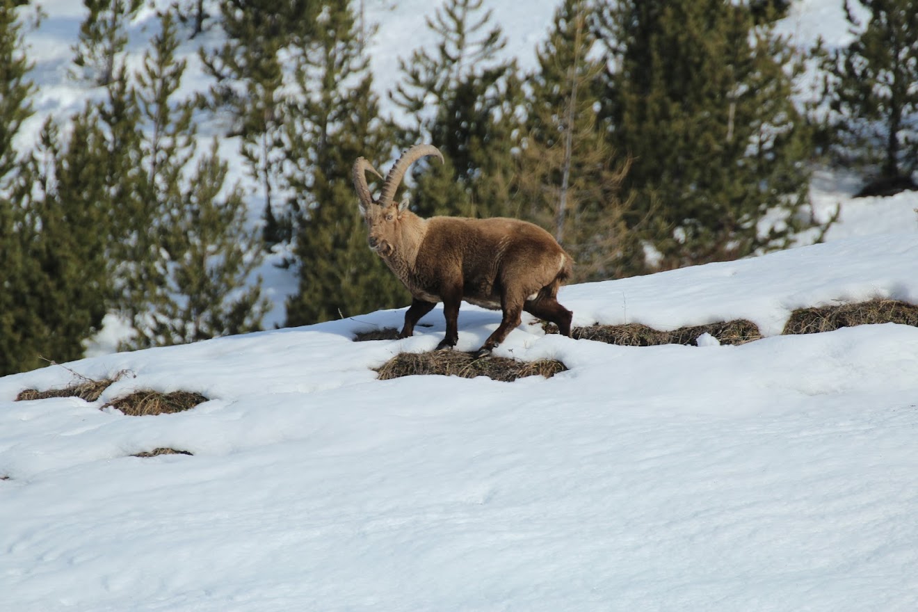 Rando au massif de Cercé Oxl_EBg2bgJ1gnfh4rb8yEvynEYfHZ9FJ2_nTJDoDdmEmyGQeDMGR8Vgct-wRx7utBT1NgbvN72U1qjsUVcFVMnbpwRu658qcpnrQpNmO1T7DRqVmHh-inFegrh4ym7GzBRJUGeORJMh-nHUWBukM56hqVm1W9O4LaH5-H7b_gxv5Zv9xHqPhnblxYsxrB149VvB-n_MMGYO7zrPvj9PhmEv1J8LN0g0Ov4BTBhrH5Sz0HRFfdivHjDOEApDWryYXgVXZxxjlO3FS4Msd0PtF1YO2lgJS4FVFBaddD-qHUSsX-QGxSUxrLybDIUEWQ6LcktjADDOy-Dt_GtiPvOewrto5UJvNKXGW3j5diVSnbaBc5B0hHkOr9NylolGbK_Y1lDBFYIKwt0qRS2TJlZY1Ibd_qlva9AgtJKrdGPQcAyYckk2eO0GPVE0lEPYcg28DhisQLvH0mvxdlXsVmVbk1vKS9PZJW0BiQqMrc8isiC1_Gvg0T8HUdLY-zOxkTMJf8diLCC8Fn-CjjZnGrEeH_0sns4w8ElBYvpTzOAnPsBGwM3qhMpRSBWILzpwK8SrcNxmrw=w1320-h880-no