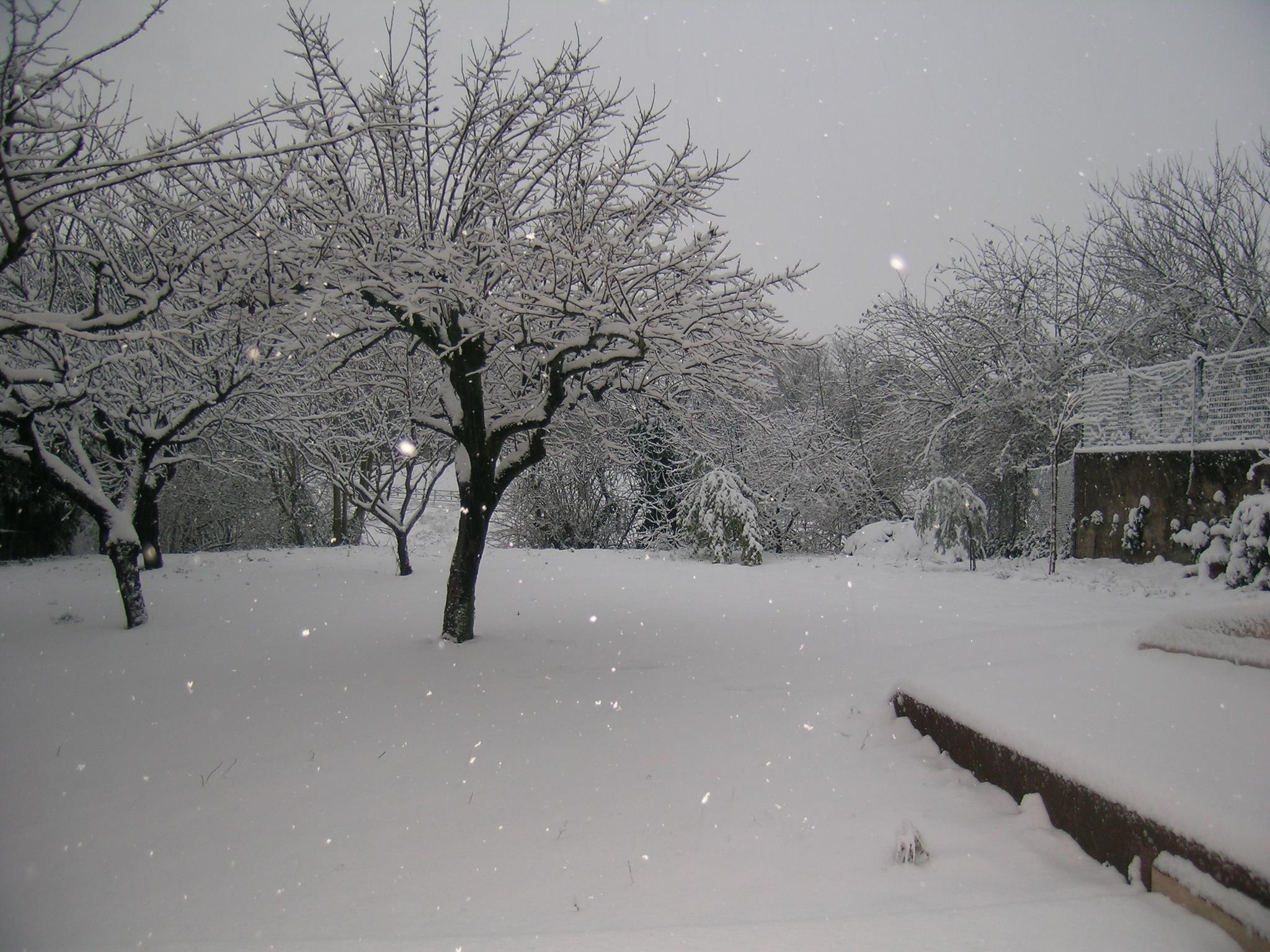 Bianco  di Nikaele