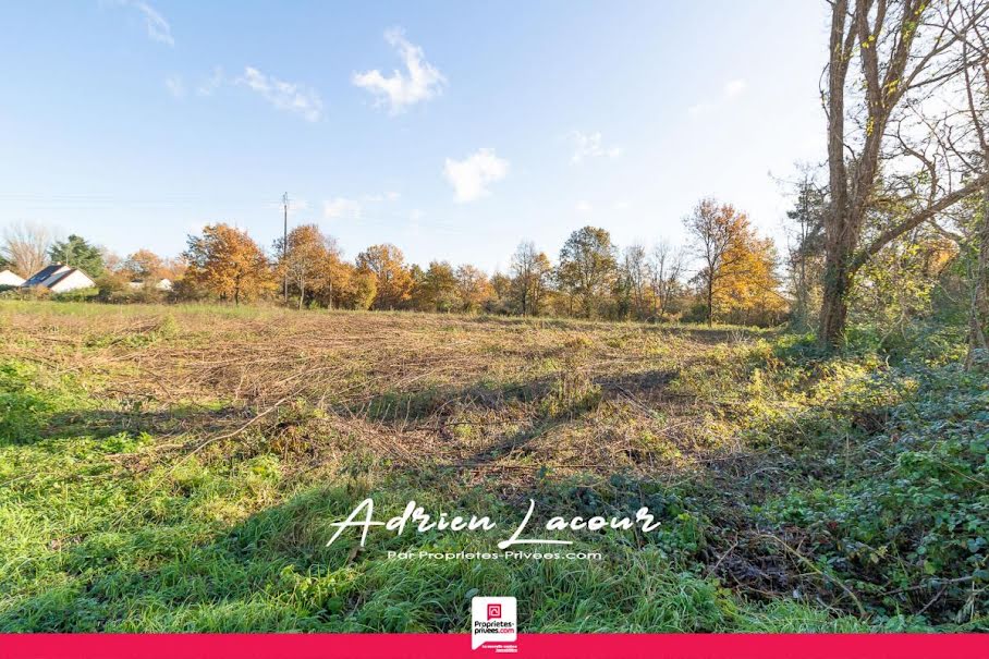 Vente terrain  1010 m² à Pruniers-en-Sologne (41200), 32 990 €