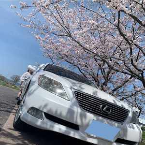 LS USF40
